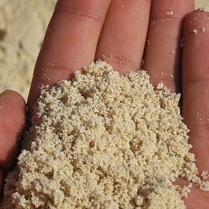 Meet your Posher, Miranda